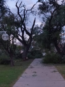 Fuerte tormenta en Tabossi