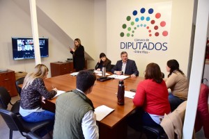 Diputados avanzó sobre el proyecto de Equinoterapia