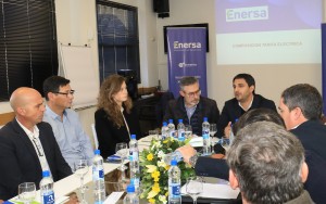 Intendentes justicialistas con funcionarios de Enersa