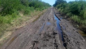 Pedido por el estado de los caminos rurales