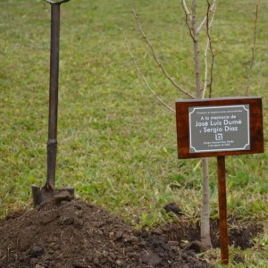 Homenaje a Dumé