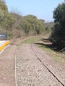 Las vías volverán a hacer rodar el tren