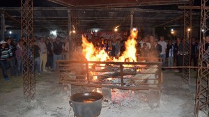 En Noviembre llega la Fiesta del Asado con Cuero en Viale