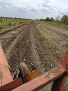 Mejoramiento de caminos vecinales en zona de Antonio Tomás