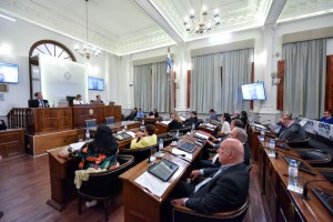 Sesión en el Senado.Foto archivo.