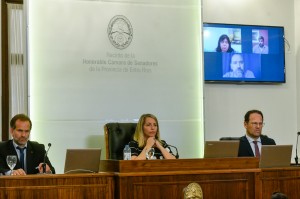 Sesionó el Senado provincial