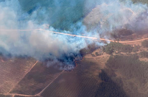 Emergencia ambiental.