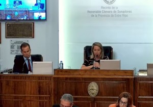 Mismas autoridades en Senadores