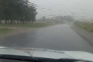 Llegó la esperada lluvia