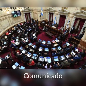 senado nacion