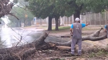 67ffa7964da15ed4d1509a3e299cc1bb