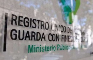 apfdigital_396619_tapa_722024_84521