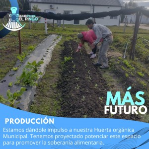 huerta
