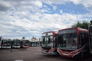 colectivos