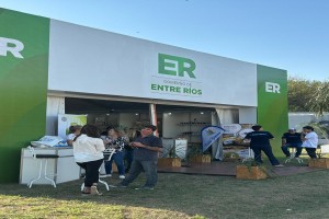Foto I Esperanza