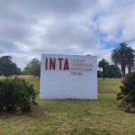 inta