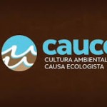 cauce