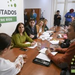 comision diputados 2