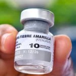 fiebre amarilla