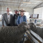 frigerio campo