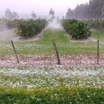 granizada