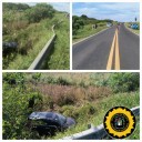 296ebb41-997d-4d77-ab71-b1cd2fc50448