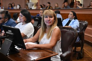 diputada romero