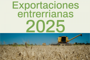 exportaciones 1