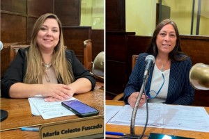 concejal Silvina Ovelar