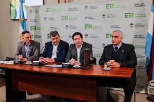 descarga (27)