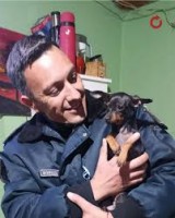 descarga (54)