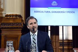 descarga (15)