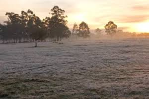 images (3)
