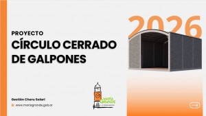 descarga (3)