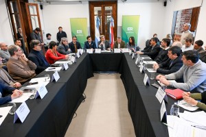 descarga (25)