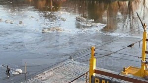 images (20)