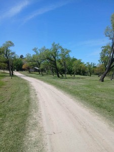 AREBO