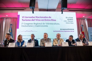 descarga (18)
